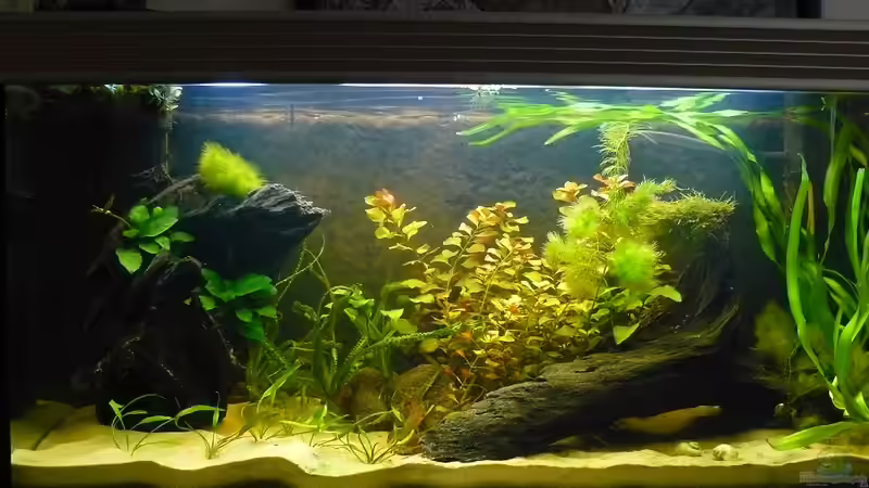 24.04.2010 von Romulus71 (19)