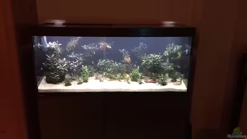 24.04.2021 Gesamtansicht, 11.11.2021 es war einmal von herkla (7)