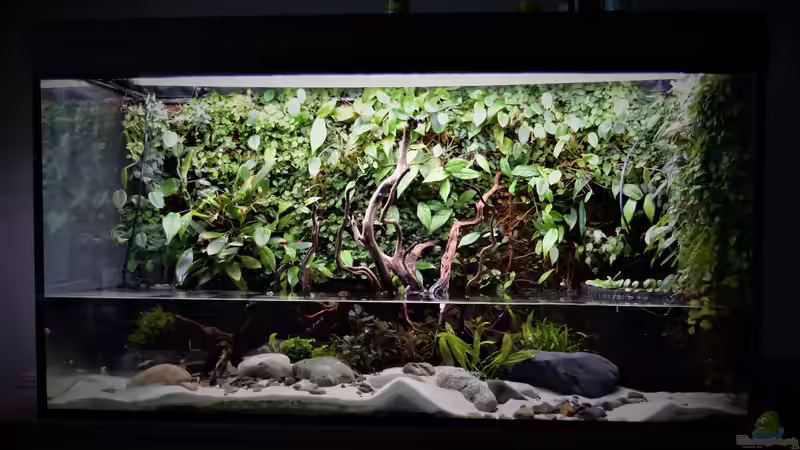 24.04.2022 von Junglist (7)