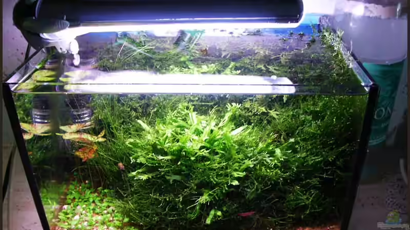 24.05.06 von Ingrid Jung (1)