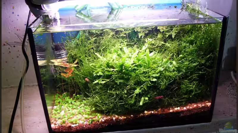 24.05.06 von Ingrid Jung (10)