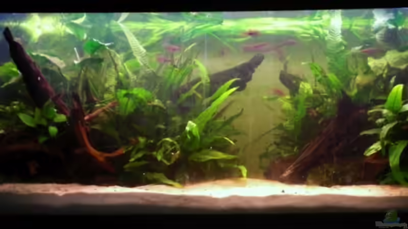 24.05.09 von Dominik (16)