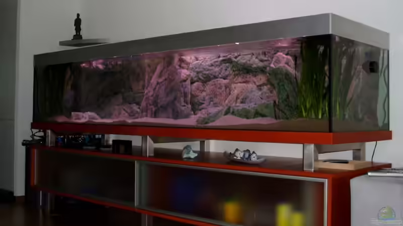 24-05-2010 von Albert (2)