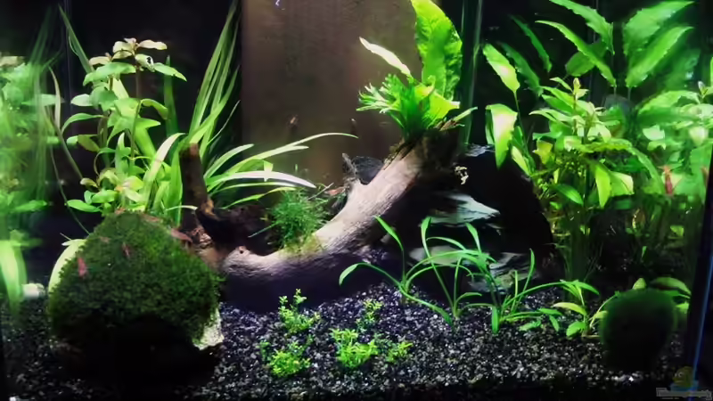 24.05.2010 von Microsash (2)