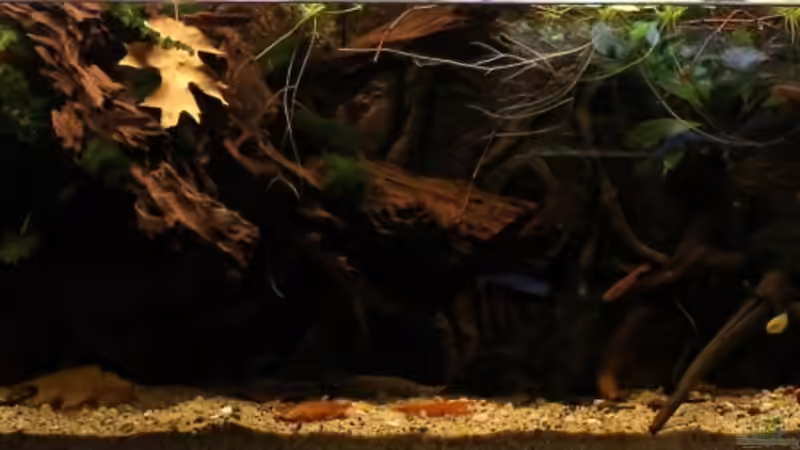 24.05.2013 von die Perle... (10)