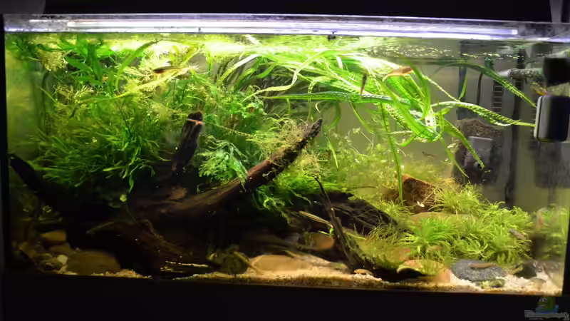 24.05.2017 von Dominik (10)