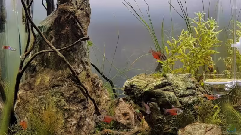 24.05.2020 - Totale ohne LED von Julia S. (1)