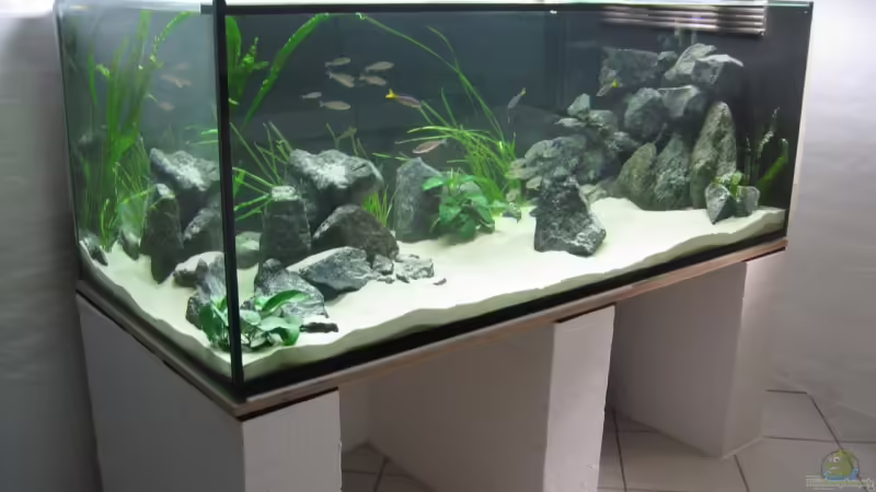 24.06.09 von Andi*Sehlde (12)