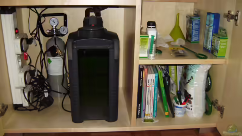 24.06.2009 ~ Selbstredend von Quyrill (18)