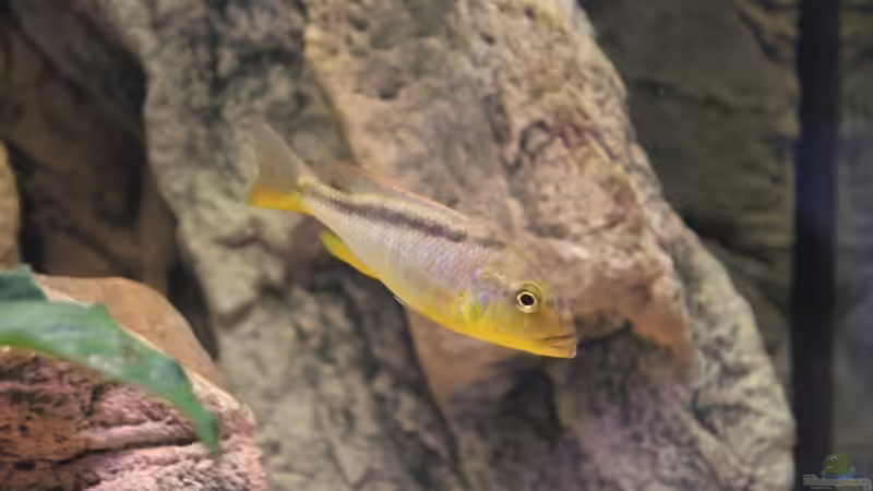 24-06-2012 von HirMat (35)