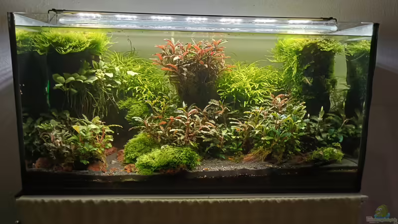 24.06.2023 von Mr-Shrimp (34)