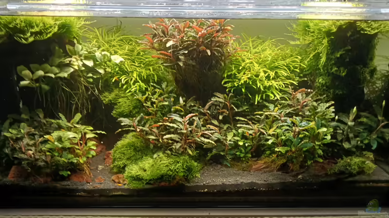 24.06.2023 von Mr-Shrimp (35)