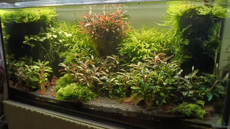 24.06.2023 von Mr-Shrimp (36)