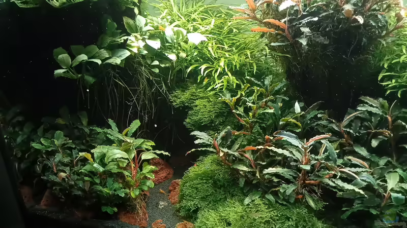 24.06.2023 von Mr-Shrimp (37)