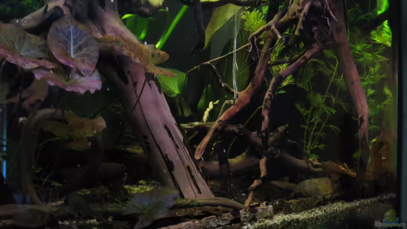 24.07.13 von Jemafa (21)