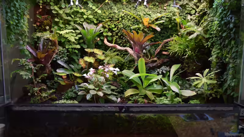 24.07.2016 von Junglist (52)