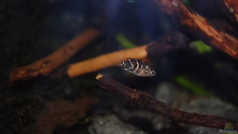 24.08.10 von ml69 (19)