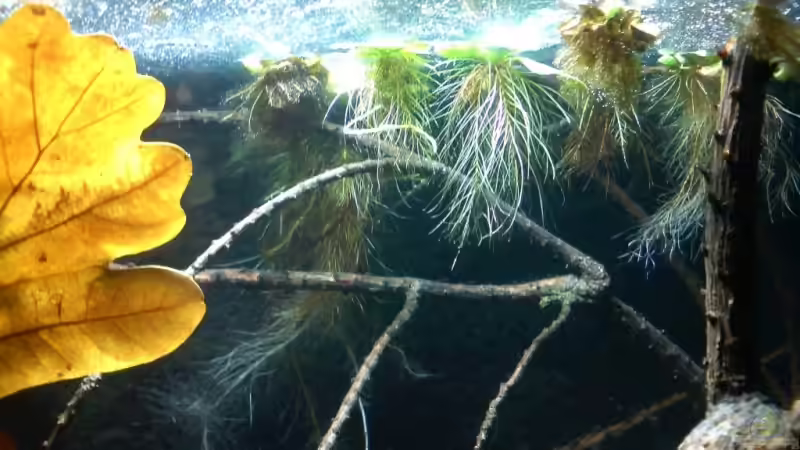 24.09.08 von timme (15)