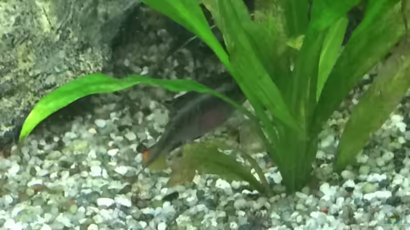 24.09.2015 von Flo (29)