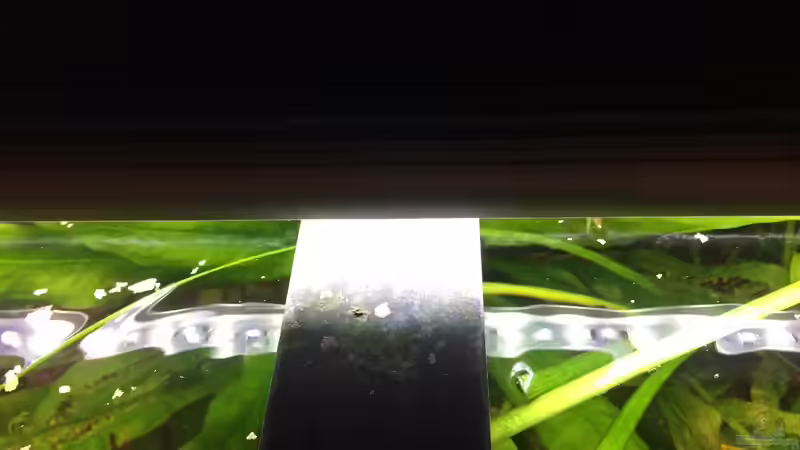 24.09.2015 von Flo (5)