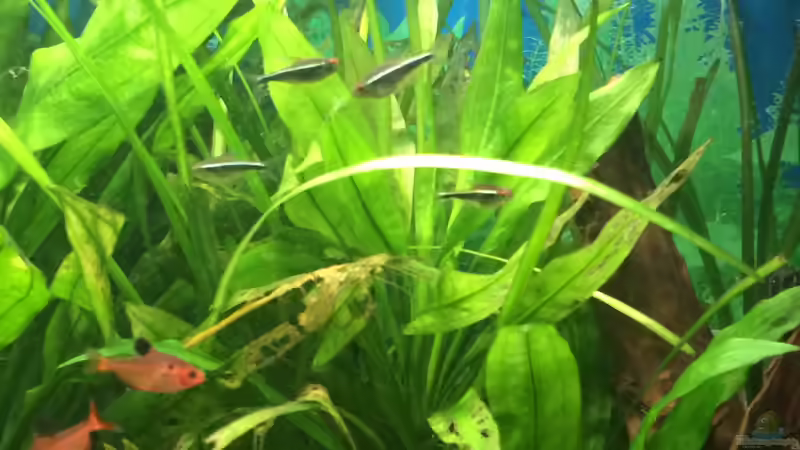 24.09.2015 von Flo (6)