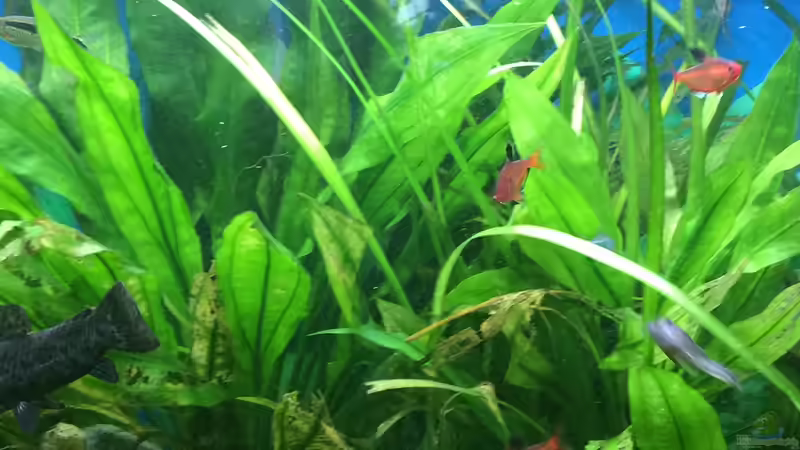 24.09.2015 von Flo (7)