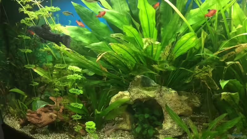 24.09.2015 von Flo (8)