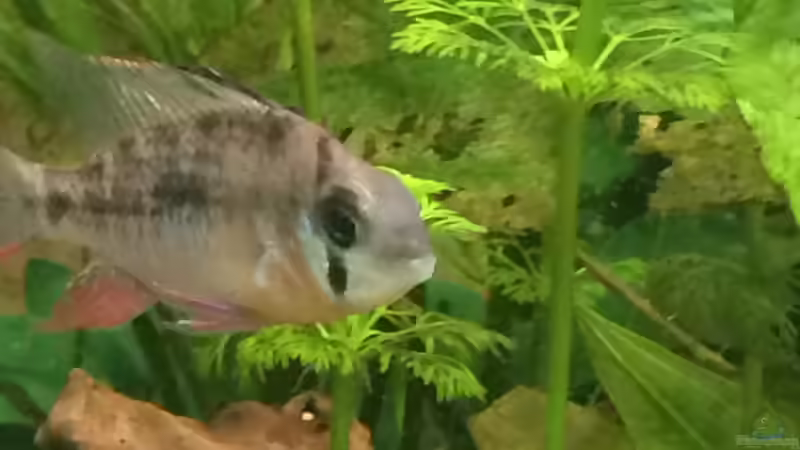 24.09.2015 von Flo (9)