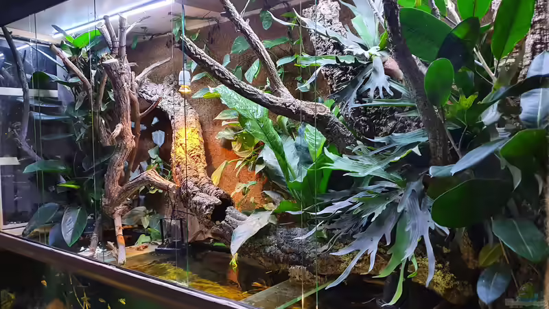 24.1.22 von Aqua fan (4)