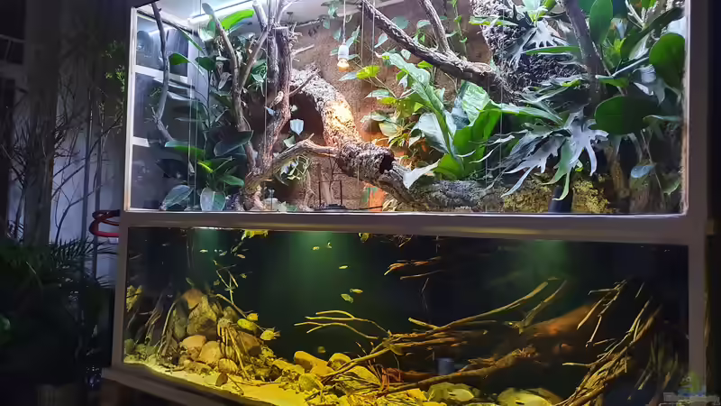 24.1.22 von Aqua fan (5)