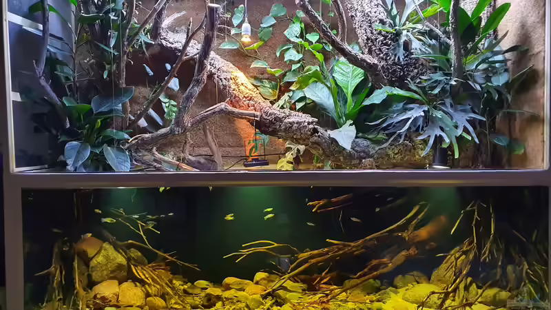 24.1.22 von Aqua fan (6)