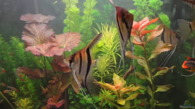 24.10.10 von Maguma (27)