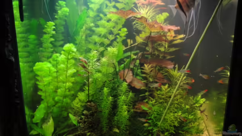 24.10.10 von Maguma (31)