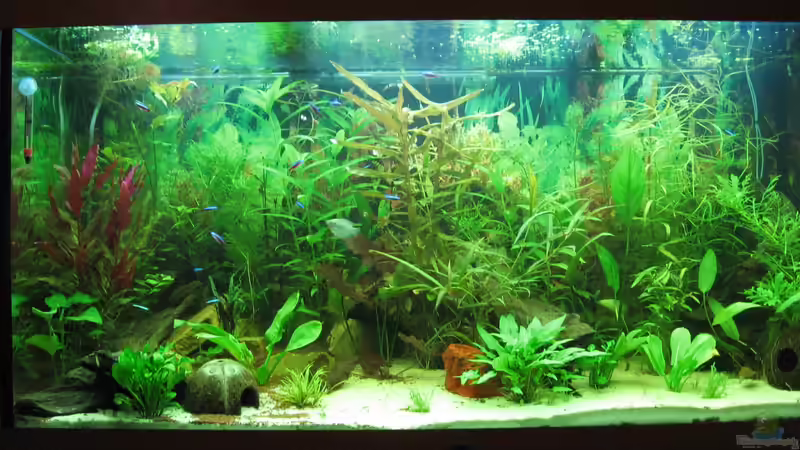 24.10.12 von Zodiack (4)