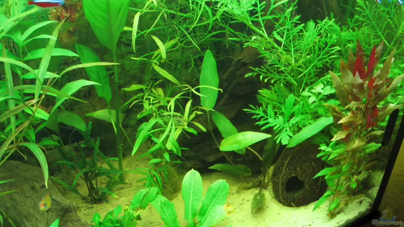 24.10.12 von Zodiack (9)