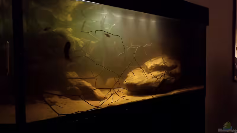 24.10.14 von Laura (12)