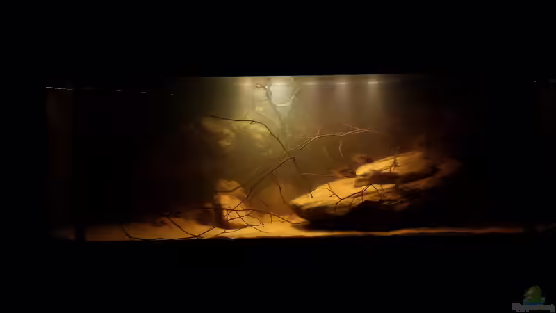 24.10.14 von Laura (28)