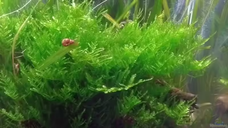 24.10.18 von Stephy (7)