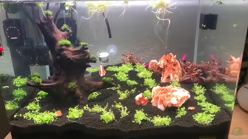 24.10.2019 von Frank T. (6)