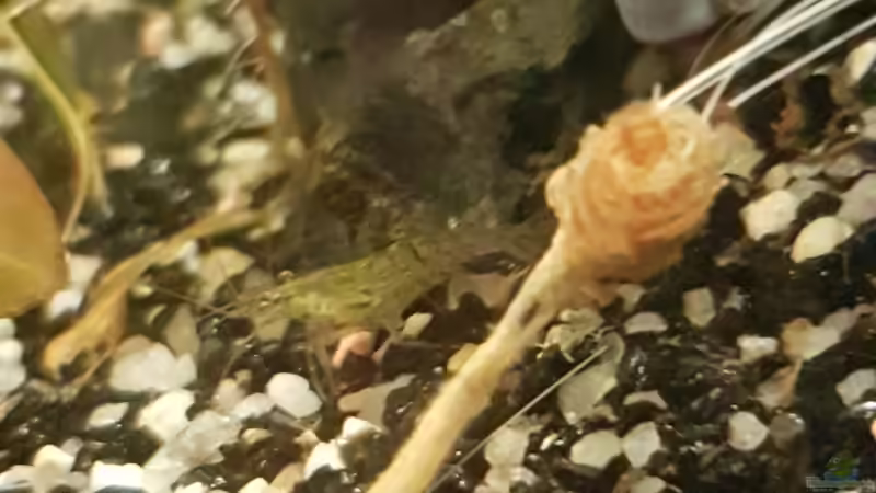 24.11.2018 irgendeine Kreuzung.  von Kevin Engelsberger (12)