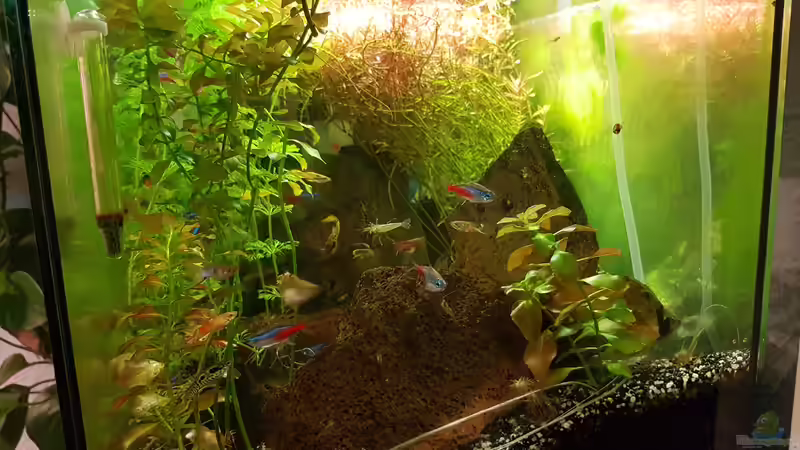 24.11.2018 von Kevin Engelsberger (7)