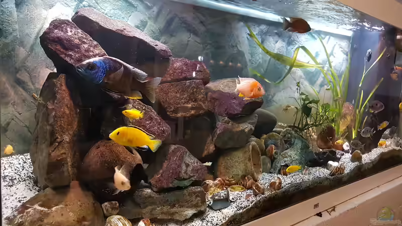 24.11.2018 von Links von Kevin Engelsberger (6)