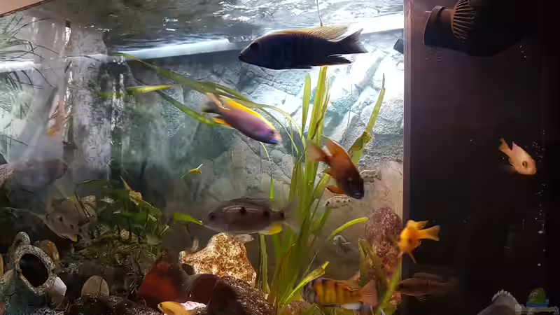 24.11.2018 von Rechts von Kevin Engelsberger (7)