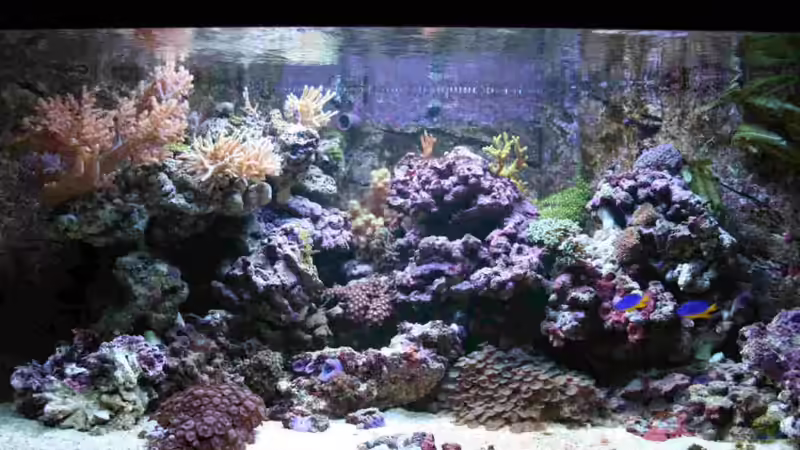 24.12.2010 von Susanne Axt (3)