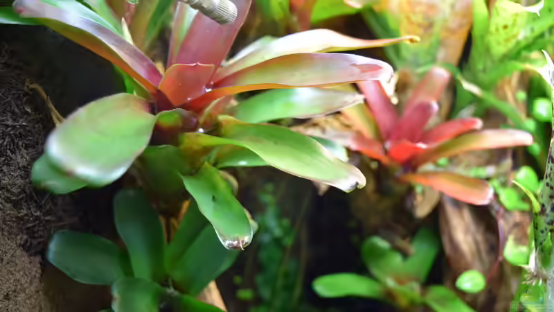 24.12.2015 von Junglist (17)