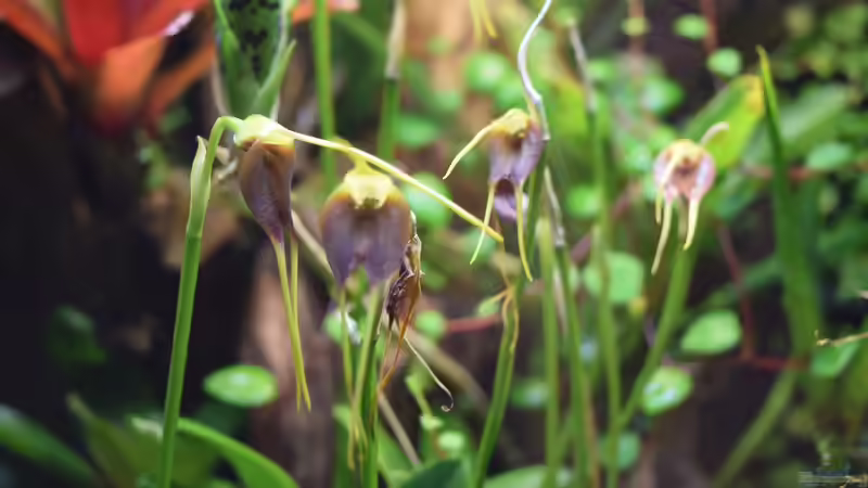 24.12.2015 von Junglist (20)