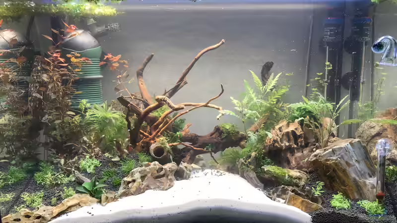 24.12.2018 mein Weihnachtsgeschenk von Maguma (1)