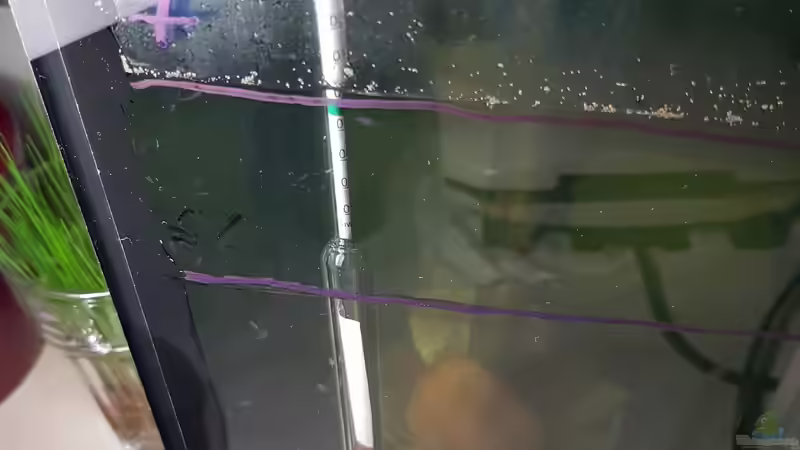 24.12.2018 von Kevin Engelsberger (16)