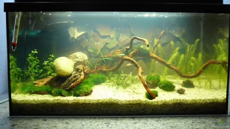 24 Stunden nach dem Einrichten von Thomas Zehren (2)