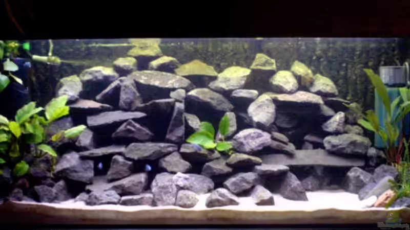 240 L - Malawi - Becken